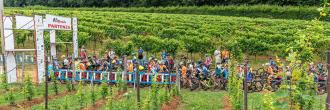 XC del Montello Giusti Wine
